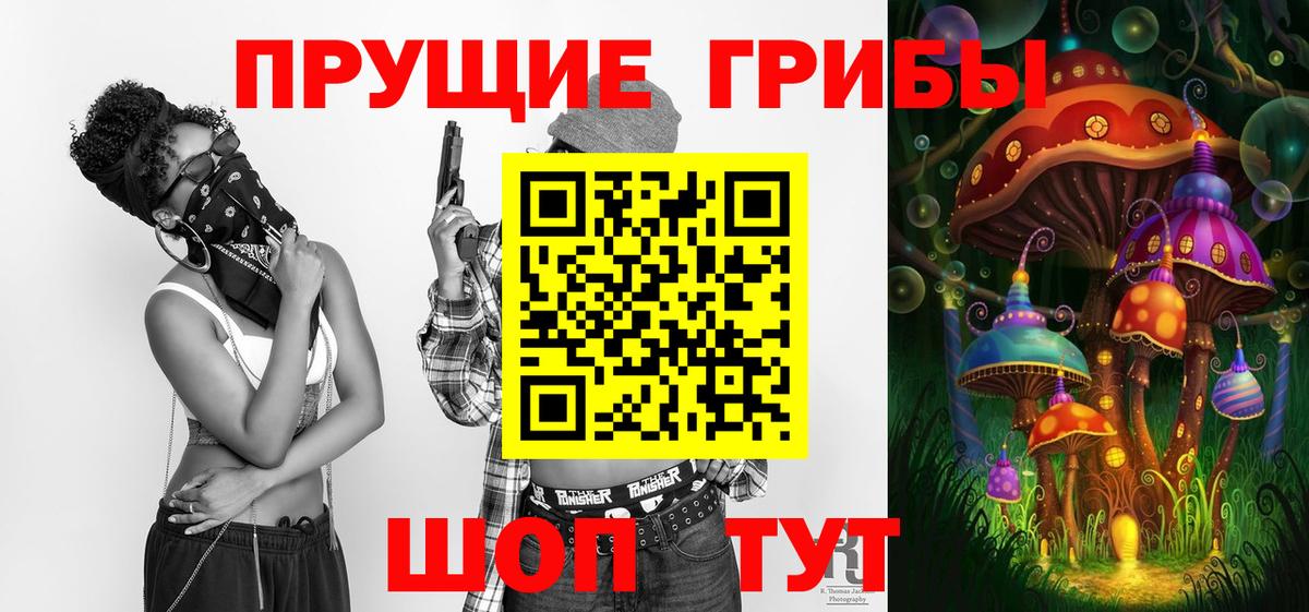 Псилоцибиновые грибы Psilocybine cubensis Тамбов